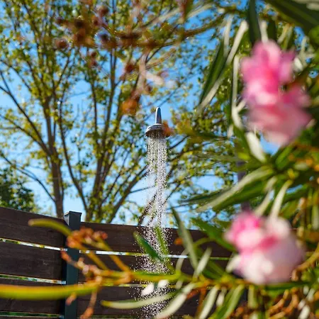 Sofia Stella * Pithos