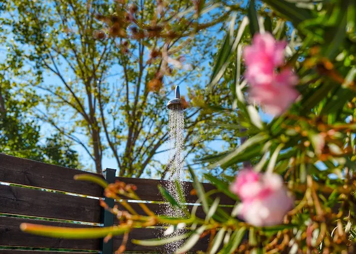 Sofia Stella * Pithos